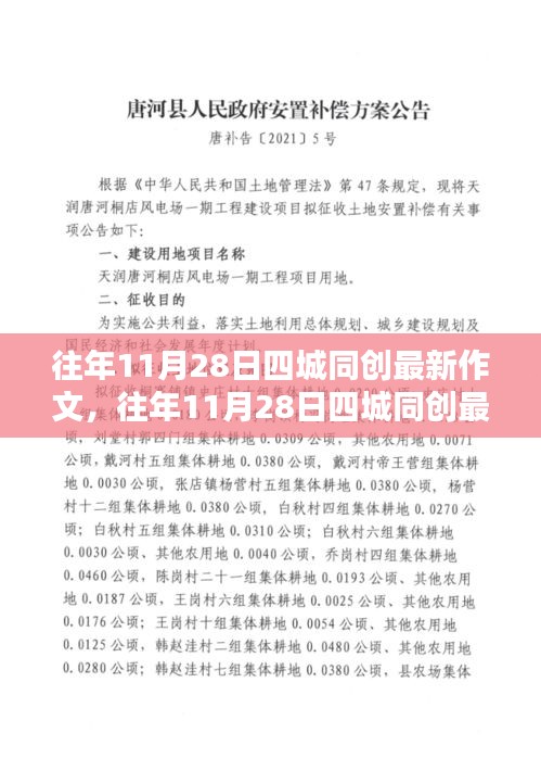 往年11月28日四城同创最新作文及其产品评测介绍