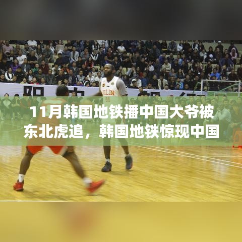 韩国地铁惊现中国大爷与东北虎奇缘，跨界故事背后的文化碰撞与深思