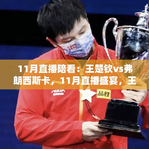 王楚钦与弗朗西斯卡11月直播对决，陪看盛宴开启