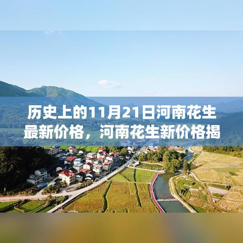 河南花生新价格揭秘与探寻自然美景之旅的独家报道