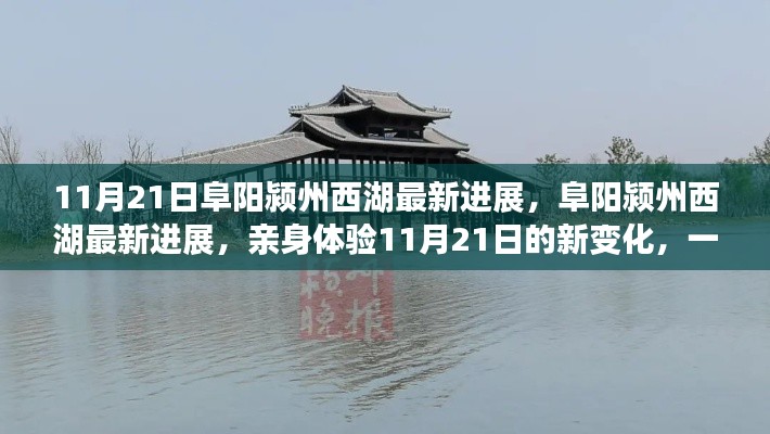 阜阳颍州西湖最新进展揭秘，亲身体验11月21日新变化之旅