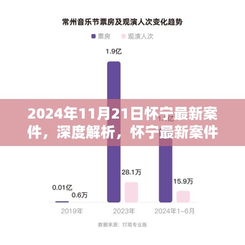 怀宁最新案件深度解析与评测，特性、体验、竞品对比及用户群体分析（2024年11月版）