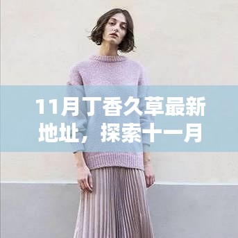 十一月丁香久草最新地址深度探索与体验分享