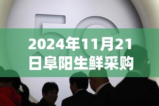 探秘阜阳小巷深处的生鲜奇缘，最新招聘挑战等你来！