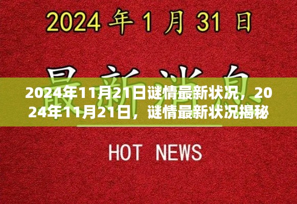 揭秘，2024年11月21日谜情最新动态揭晓！