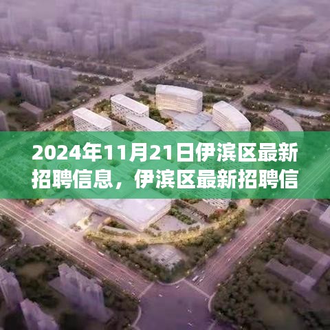 2024年11月21日伊滨区最新招聘信息，伊滨区最新招聘信息发布——职场人的新机遇（2024年11月21日）
