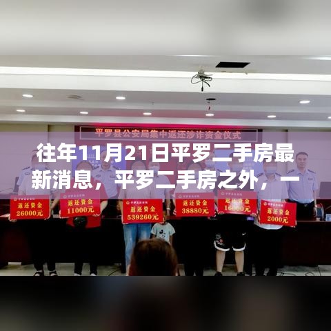 往年11月21日平罗二手房最新消息，平罗二手房之外，一场寻找内心平静的绿色探索之旅