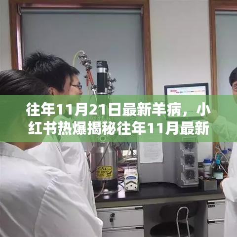 揭秘往年11月最新羊病动态，小红书热爆，养羊人必备知识速递！