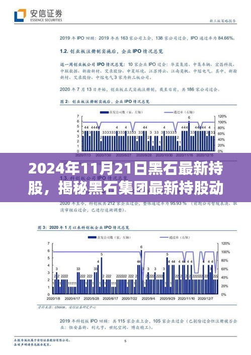 揭秘黑石集团最新持股动向，聚焦未来投资趋势（2024年黑石持股年报解析）