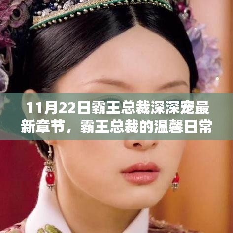 11月22日霸王总裁深深宠最新章节，霸王总裁的温馨日常，11月22日的深深宠爱新篇章