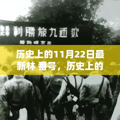 回望辉煌时刻，历史上的最新林番号在11月22日的发展脉络揭秘。