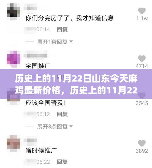 历史上的11月22日山东麻鸡价格演变及今日市场分析，最新价格与市场趋势探讨