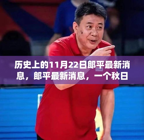 历史上的11月22日郎平最新消息，郎平最新消息，一个秋日暖阳下的温馨故事