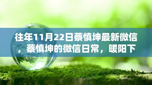蔡慎坤微信日常分享，暖阳下的友情与家的温馨时刻