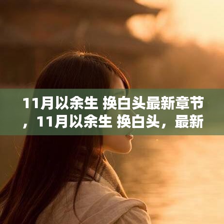 11月以余生 换白头，情感博弈与深度思考的新篇章
