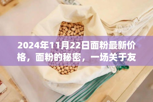 面粉的秘密，友情与日常温馨价格的奇妙旅程（最新价格更新）
