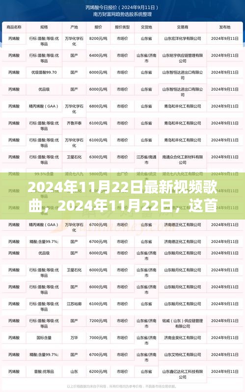 2024年11月新歌风潮，引领时代风潮的全新视频歌曲解析