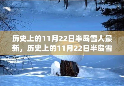 历史上的11月22日半岛雪人事件深度解析与最新观点探讨