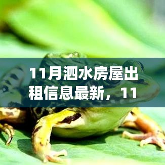 11月泗水房屋出租信息最新，11月泗水房屋出租背后的故事，变化中的学习，自信与成就感的旅程