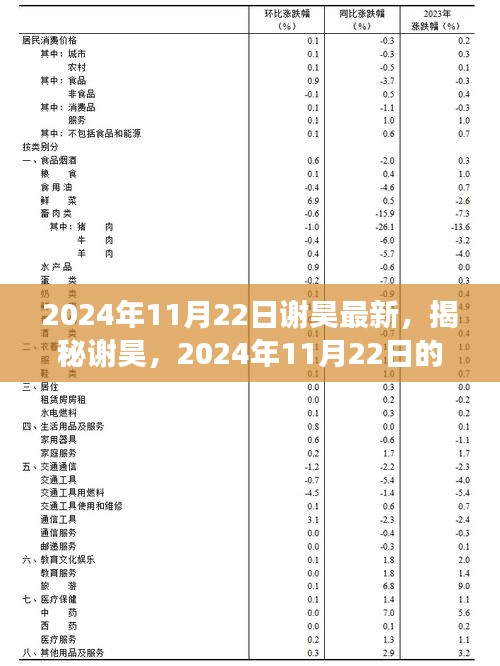 探索未知之旅，谢昊揭秘新篇章，揭秘未知的魅力之旅，2024年11月22日更新