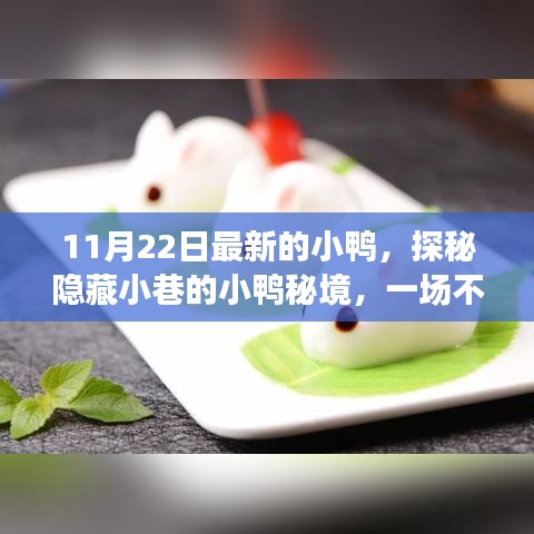探秘小鸭秘境，美食冒险之旅启程在即
