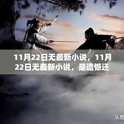 11月22日无最新小说，遗憾还是期待？