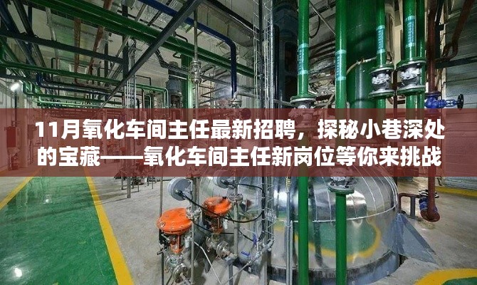 探秘小巷深处的宝藏，全新氧化车间主任职位等你来挑战！招聘启事揭秘！