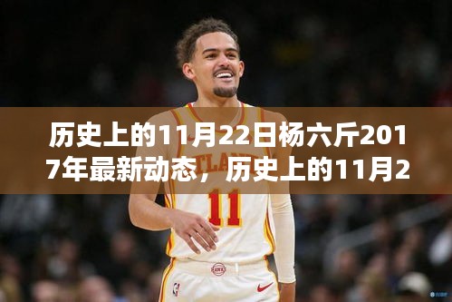 历史上的11月22日与杨六斤最新动态，全面评测与深度介绍（2017年）