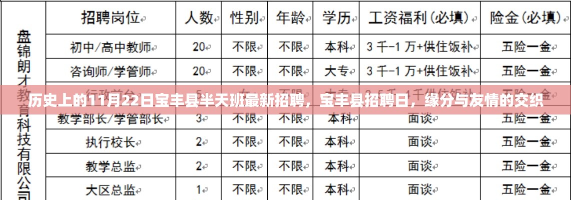 历史上的招聘日，宝丰县半天班最新招聘与友情交织的缘分