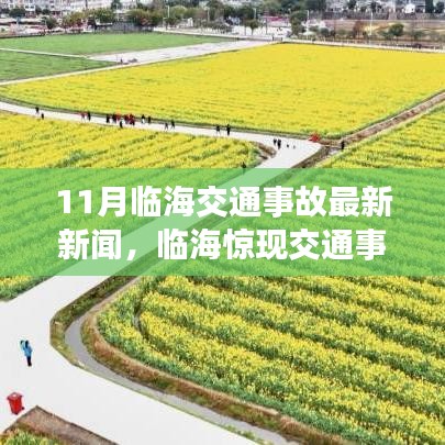 临海交通事故最新动态，十一月事故震惊小红书社区