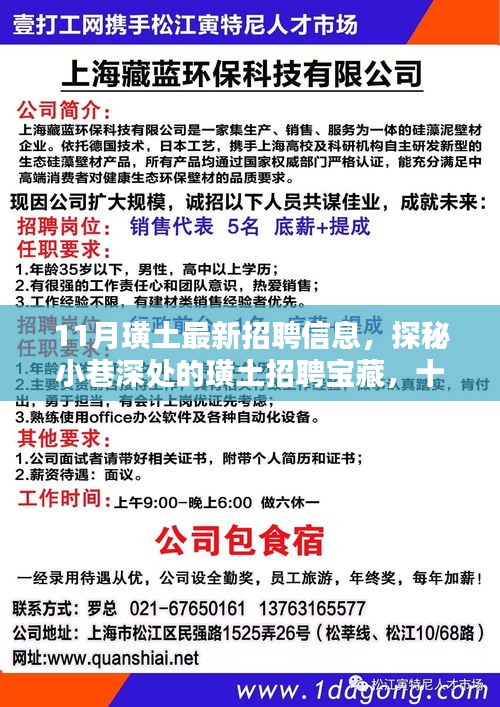 揭秘十一月璜土最新招聘宝藏，小巷深处的职业机会大解密