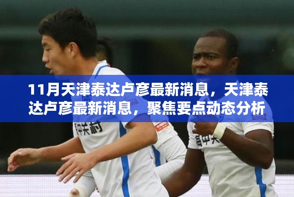 天津泰达卢彦最新消息聚焦与分析，动态分析要点揭秘