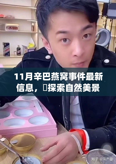 辛巴燕窝事件最新进展与探索自然美景之旅，背后的宁静启示