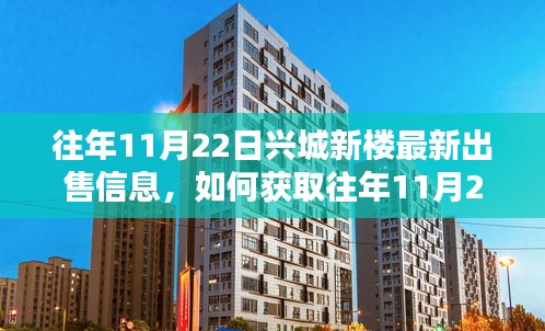 往年11月22日兴城新楼最新出售信息获取指南，详细步骤解析