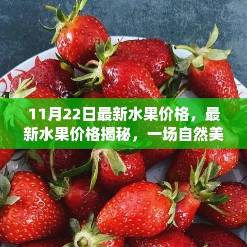 11月22日最新水果价格，最新水果价格揭秘，一场自然美景的治愈之旅，启程寻找内心的宁静与平和