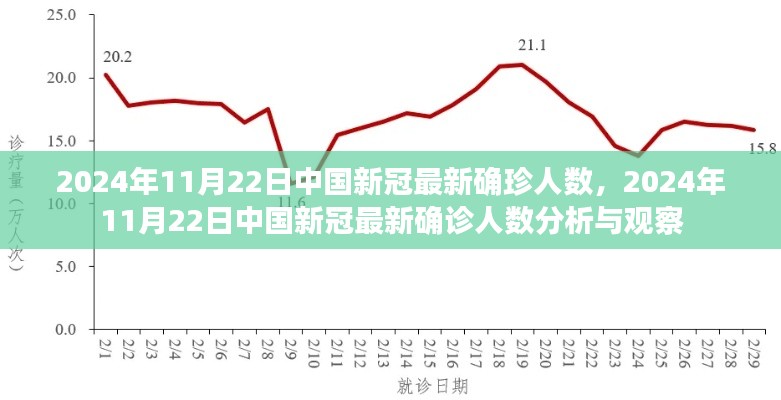 2024年11月22日中国新冠疫情最新确诊人数分析与观察