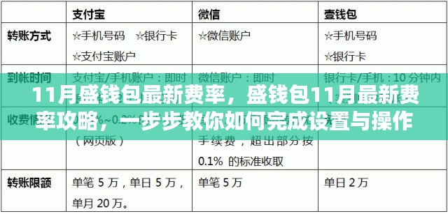 盛钱包11月费率详解，最新设置操作指南与优惠攻略