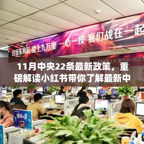 重磅解读，中央最新政策利好，小红书带你了解11月中央出台22条政策利好