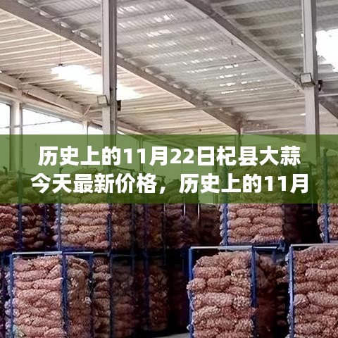 历史上的11月22日杞县大蒜价格走势及今日最新价格分析