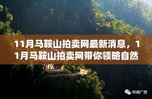 11月马鞍山拍卖网，自然美景之旅，启程寻找内心平静
