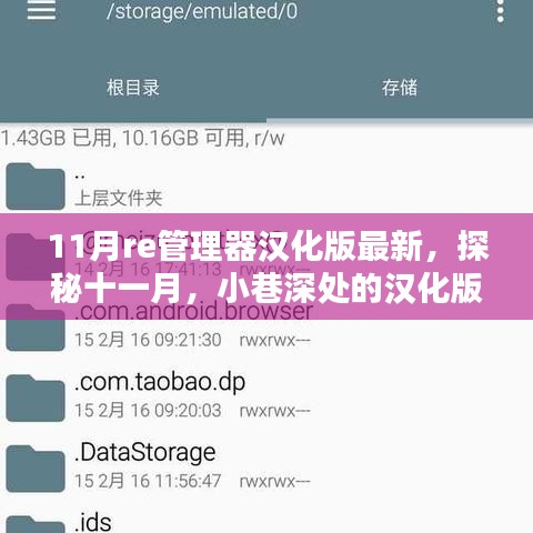 探秘十一月小巷深处的汉化版Re管理器背后的独特小店，最新Re管理器汉化版揭秘