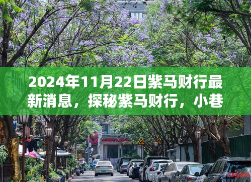 紫马财行最新动态揭秘，小巷深处的独特风味，2024年全新发现