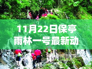 揭秘保亭雨林一号最新动态，科技革新引领未来生活新纪元！