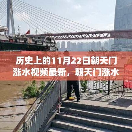 朝天门涨水记，一场温馨的水上奇遇与历史的交汇
