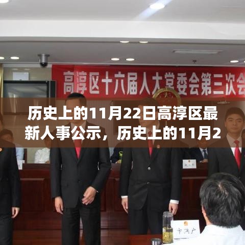 历史上的11月22日高淳区人事公示详解，特性、体验、竞品对比及用户群体分析