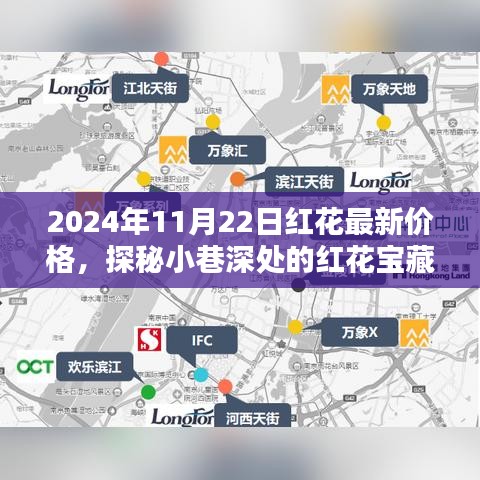 探秘红花宝藏，揭秘2024年红花最新价格！