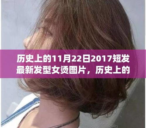 鸟之将死 第3页