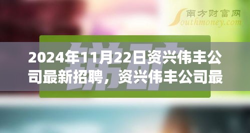 资兴伟丰公司最新招聘动态及人才战略展望（2024年11月）