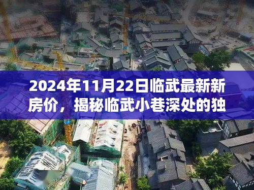 2024年11月22日临武最新新房价，揭秘临武小巷深处的独特小店，探索最新房价与未知的美好