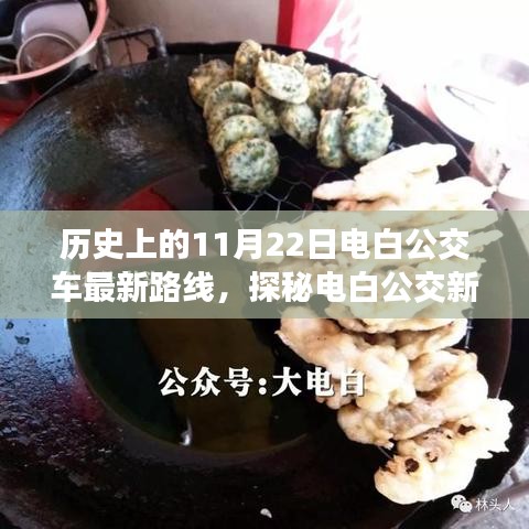 探秘电白公交新线路，11月22日特色公交之旅，小巷深处的隐藏之旅